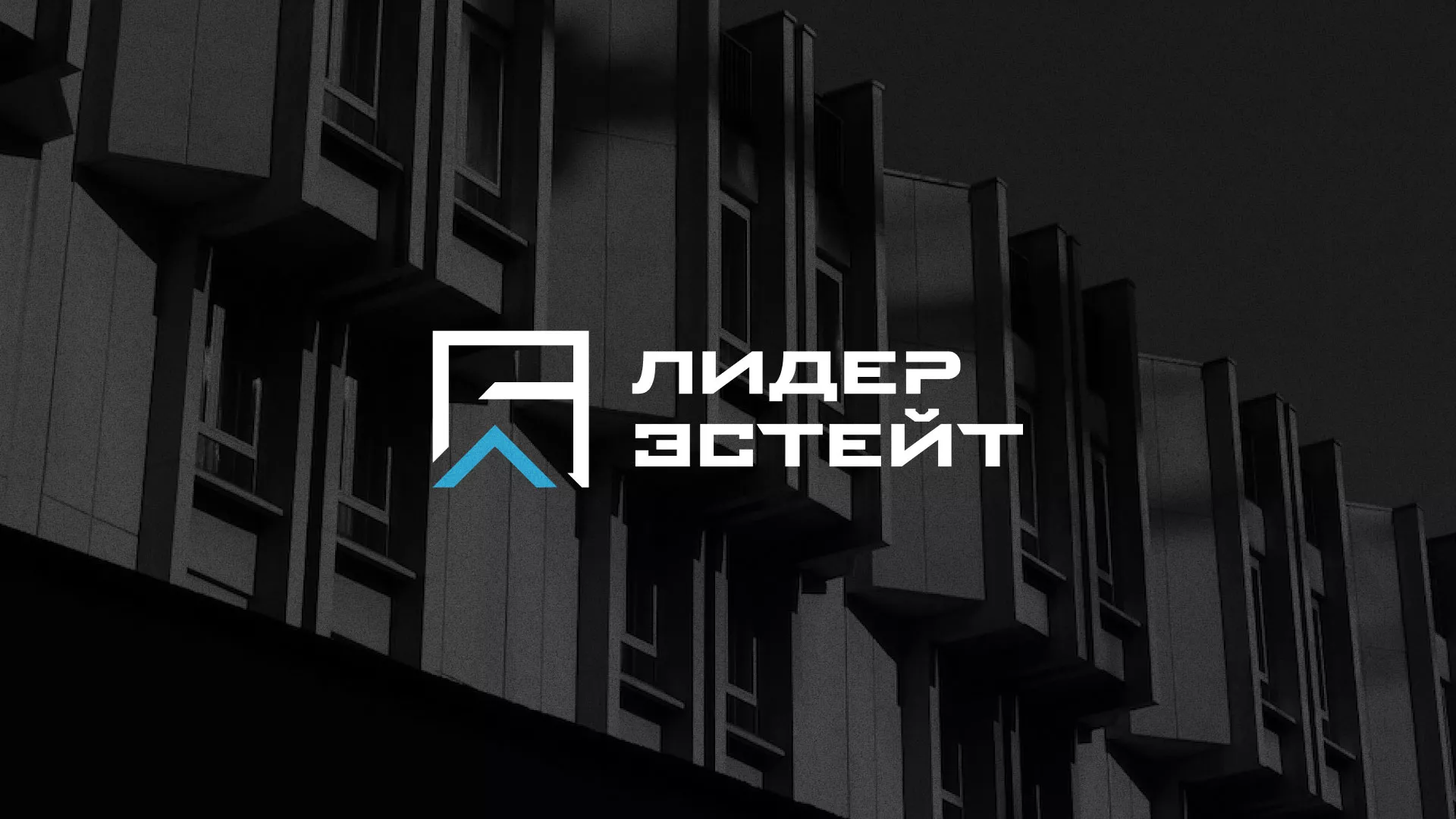 Разработка логотипа агентства недвижимости «Лидер Эстейт» в Кораблино